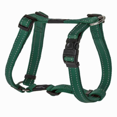 Harnais pour chien Utility vert