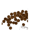 Grain Free Large Breed All Life Stage Buffalo