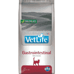 Feline Gastrointestinal