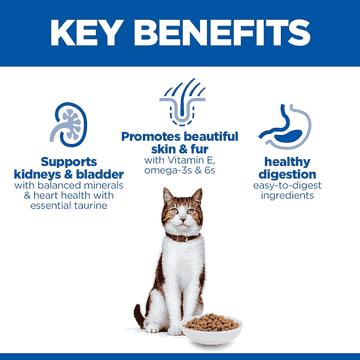 Feline Mature Adult 7+ Chicken