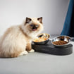 FRESH NANO Feeding Bowl, Silver