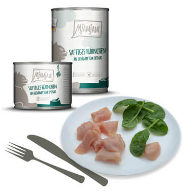 Saftiges Hühnchen an gedämpftem Spinat (poulet & épinard)