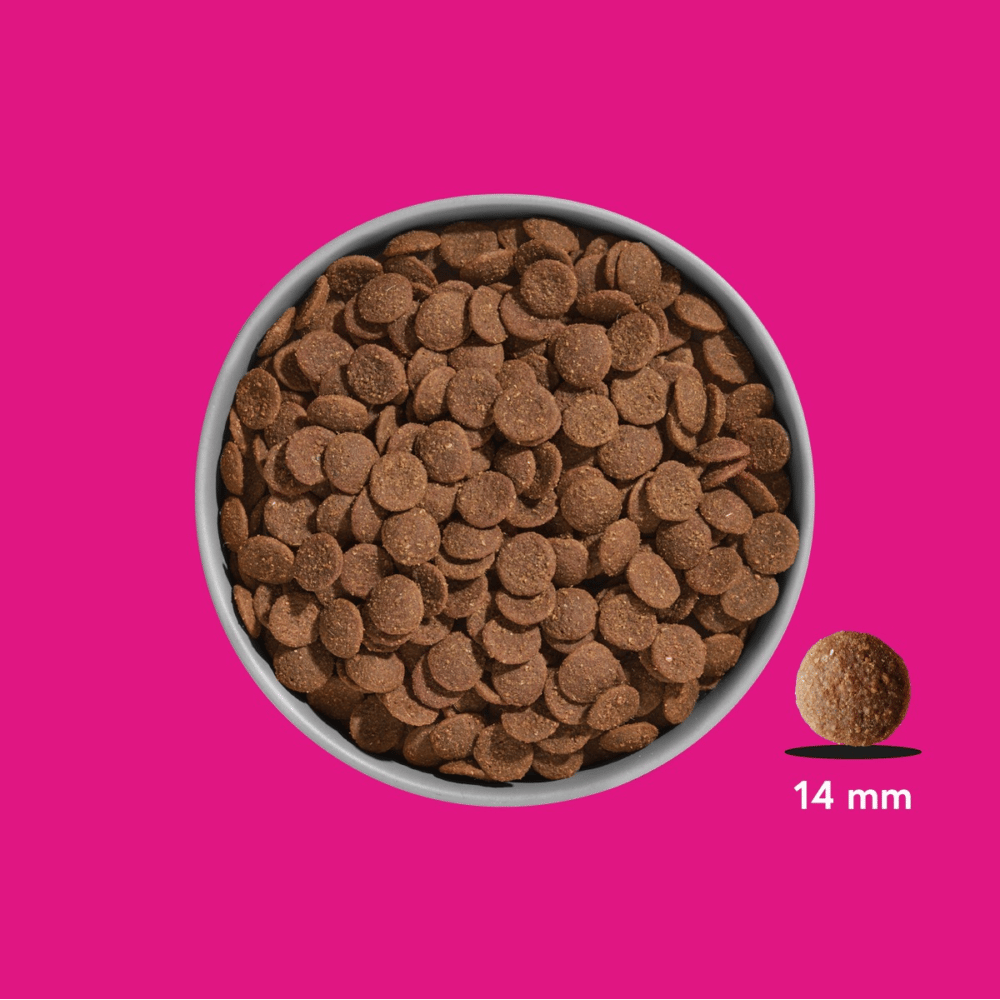 FRED Schwein Premium Trockenfutter