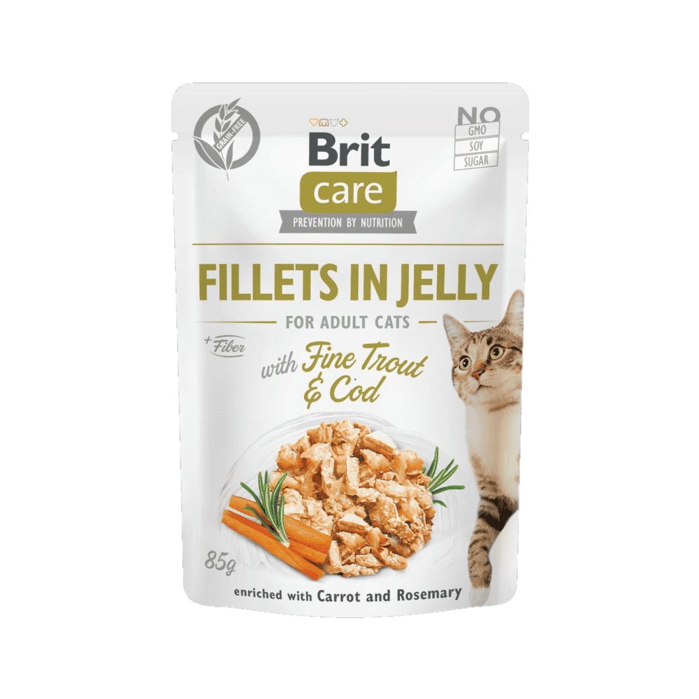 Care Cat - Fillets in Jelly with Fine Trout &amp; Cod