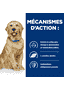 Canine j/d Mobility - en boîte