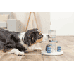 Dog Activity Gambling Tower
