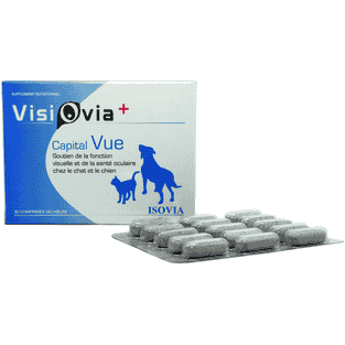 Visiovia