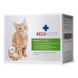 Immun Tonicum für Katzen