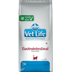Feline Gastrointestinal