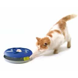 Jouet pour chats swisspet Catsy Roundable