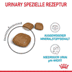 Urinary Care Cat