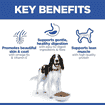 Canine Adult Medium Breed Chicken