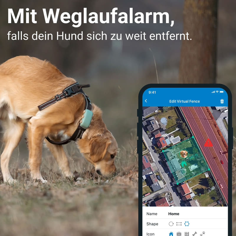 Tractive GPS Tracker für Hunde XL online bestellen