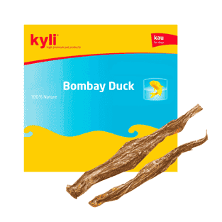 Bombay Duck