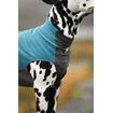 Pull en laine polaire Trail Quest Teal