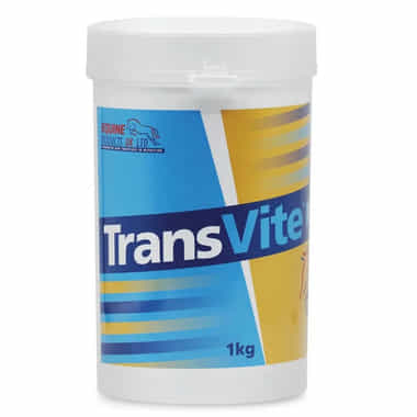 TransVite Gut Balancer