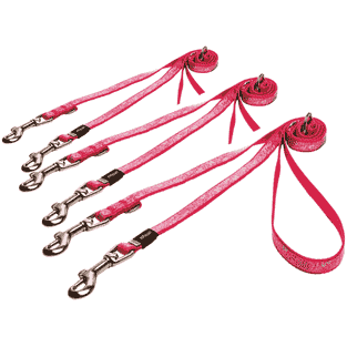 Laisse pour chien Trendy rose