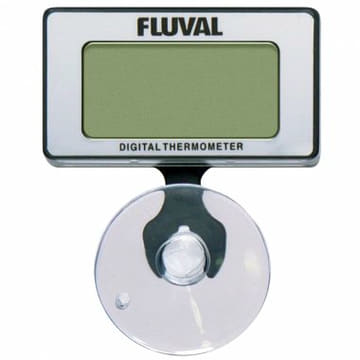 Celcius Digitalthermometer