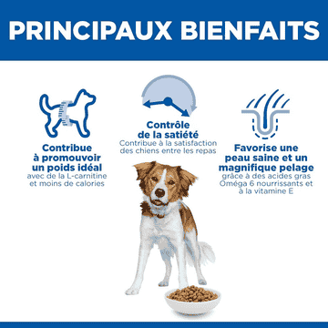 Canine Adult Light Medium Breed