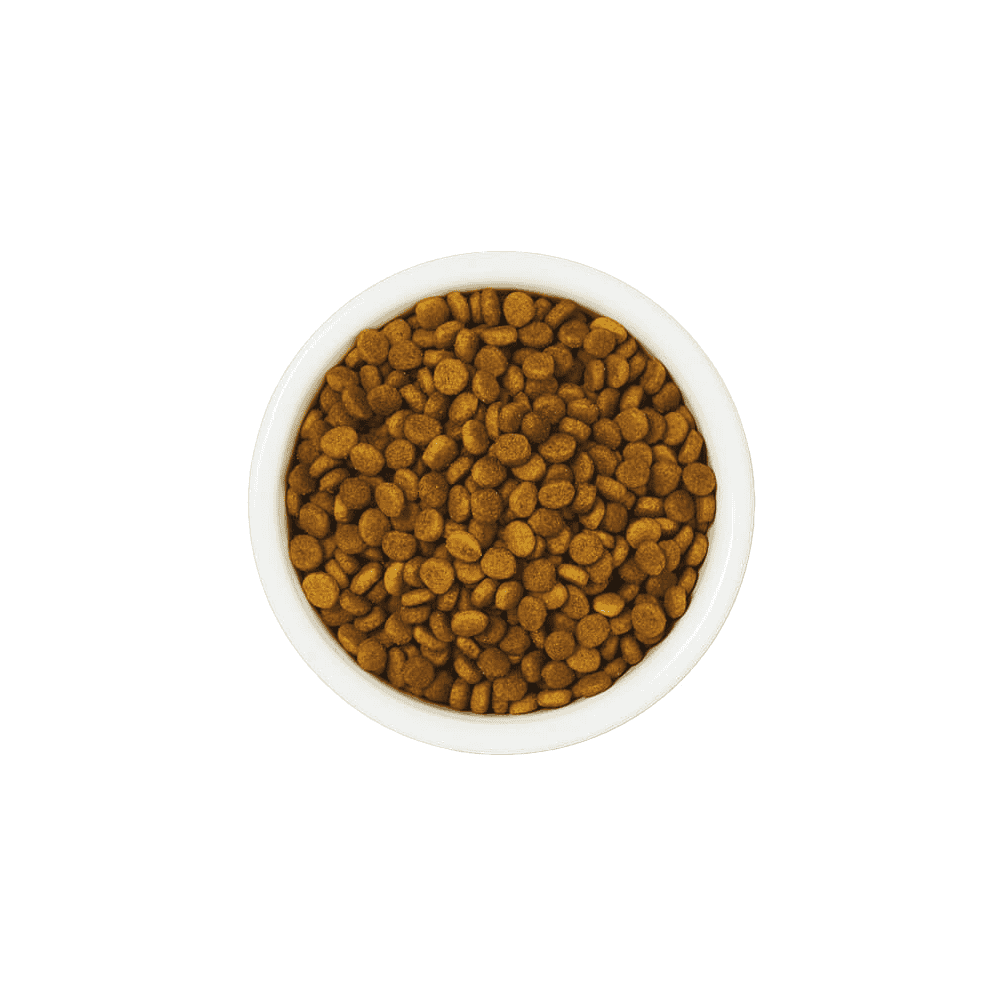 White Fish with Turkey & Trout for Mature Cats