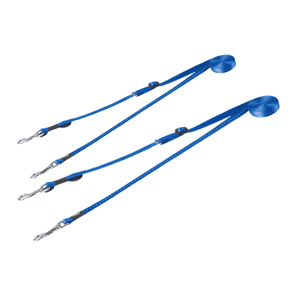 Double leash Control blue