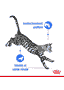 Indoor Cat 7+ en sachet