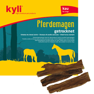 Pferdemagen getrocknet