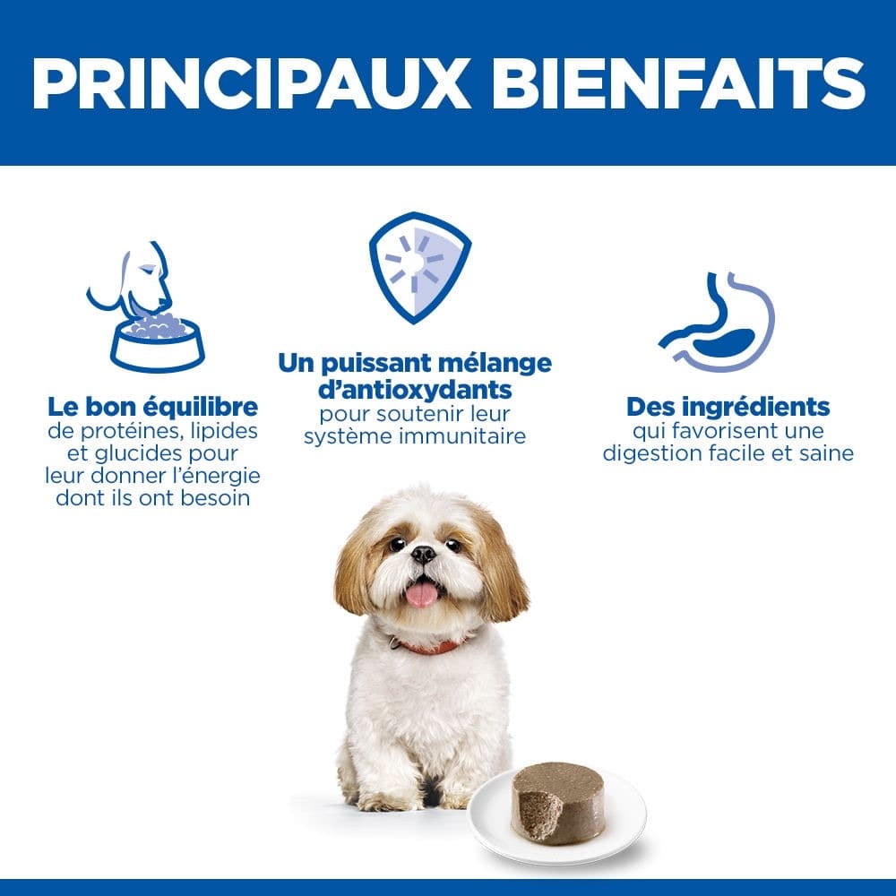Canine Small & Mini Breed Mature Adult Beef - Boîte