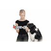 Inhalateur pour chiens
