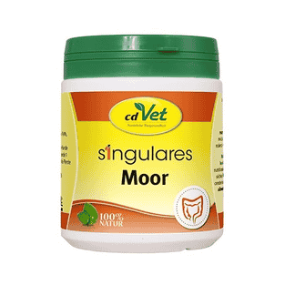 Singulares Moor
