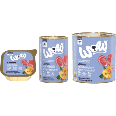 Adult, Lamb et Potiron