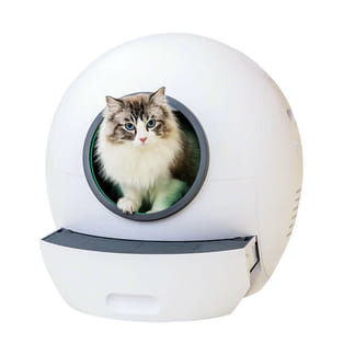 Caisse fermée pour chats CLB1