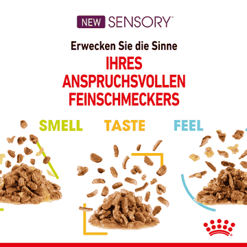 SENSORY SMELL, TASTE, FEEL in sauce, fresh pouches