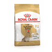 Yorkshire Terrier 8+