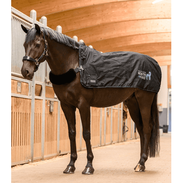 Health + Care TecSupreme Heiz- und Massagedecke