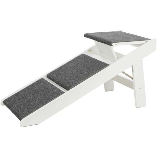 Ramp with fold-out steps