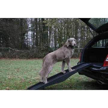 Rampe pliable pour chiens