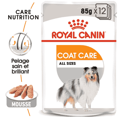 Coat Care Wet