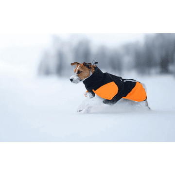 Glacier jacket 3.0, black/orange
