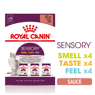 SENSORY SMELL, TASTE, FEEL en Sauce, Sachets