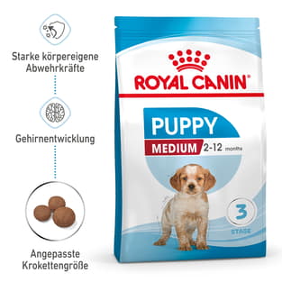Medium Puppy