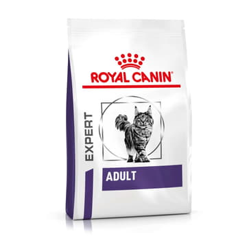 Adult Cat
