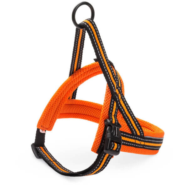 Nordic Sport harness orange