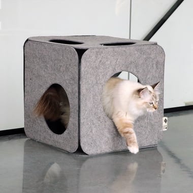 Cube de jeu en feutre Nala