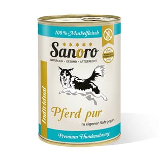 Pferd pur