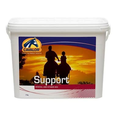 Support