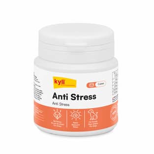 Anti Stress Cubes