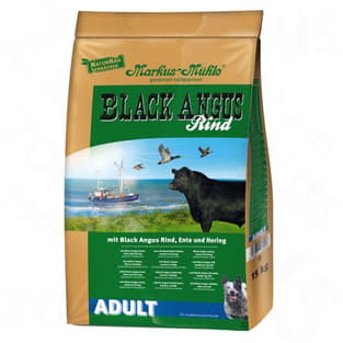 Black Angus Adult
