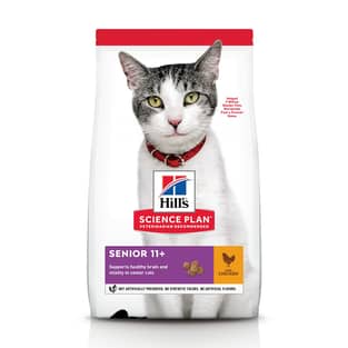 Feline Senior 11+