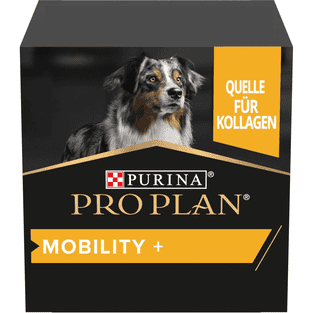 Dog Mobility +